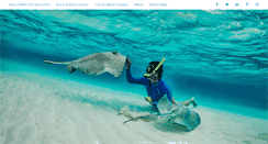 Desktop Screenshot of cireba.com